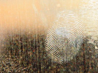 Forensic Audit Training