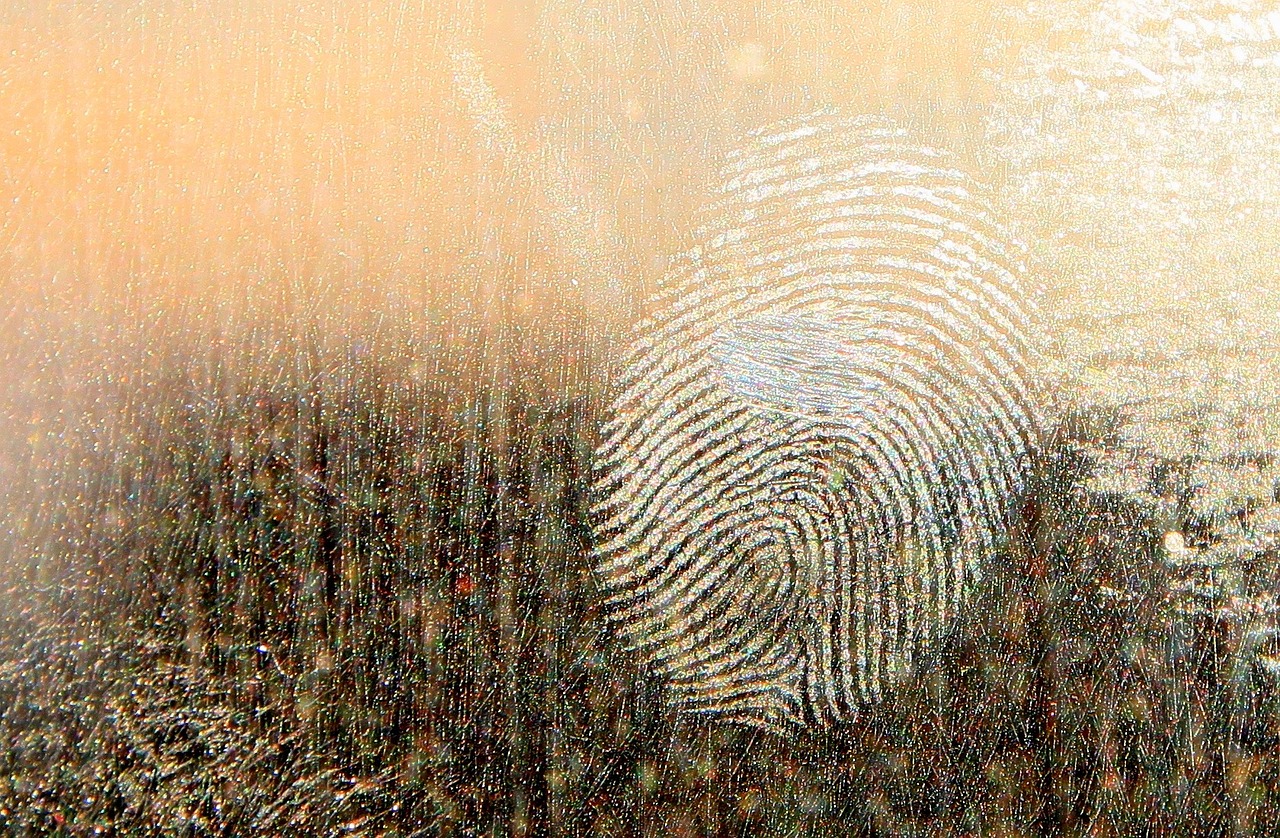 fingerprint
